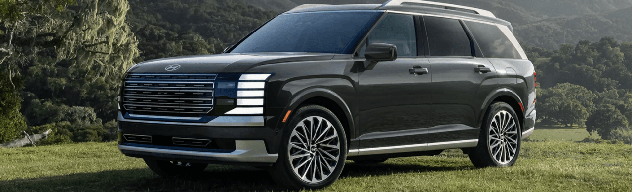 How Spacious Is the Hyundai Palisade Really? Breaking Down Comfort in All Three Rows